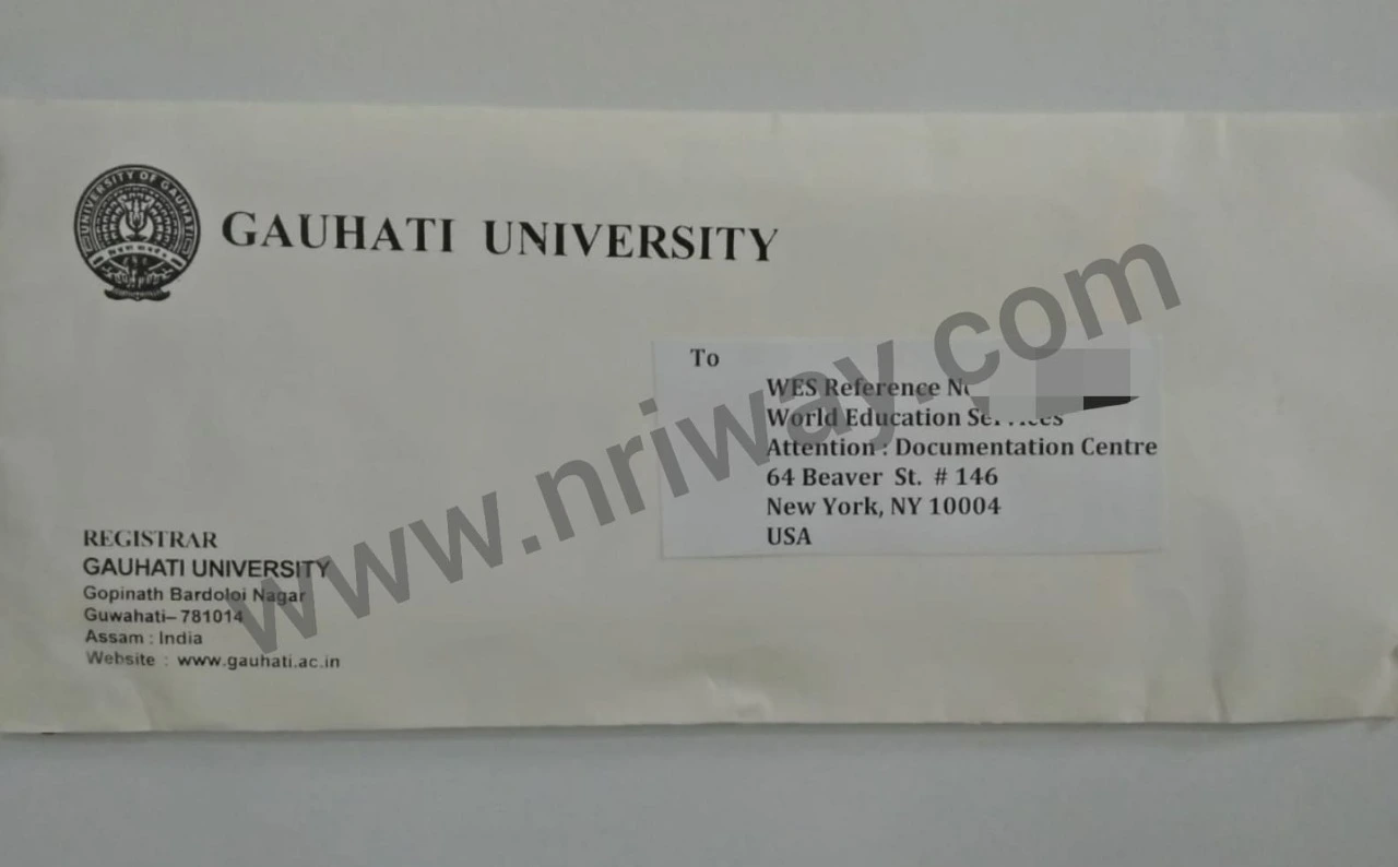 University Transcripts from Delhi University